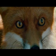 点击查看图片 狩猎聚会 The Hunting Party