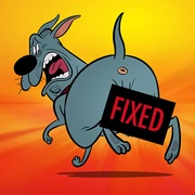点击查看图片 雄狗狗大冒险 Fixed