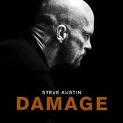 格斗场 Damage