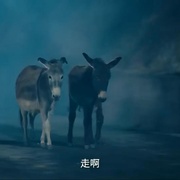 陈翔六点半之疯狂代号