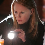 犯罪现场调查 第八季 CSI: Crime Scene Investigation Season 8