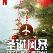 圣诞风暴 A Storm for Christmas