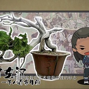 侠岚 第五季
