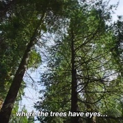 大自然恐怖故事 Nightmares of Nature