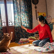 我的僵尸女儿 좀비가 되어버린 나의 딸