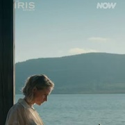 鸢尾花事件 The Iris Affair