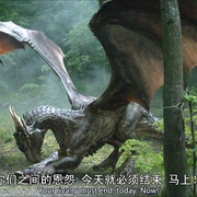 龙之心4：心火之战 Dragonheart Battle for the Heartfire