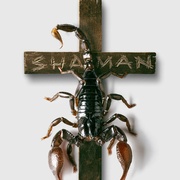 萨满 Shaman