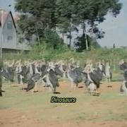 谁杀死了阿历克斯队长 Who Killed Captain Alex?