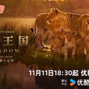 动物王国 Kingdom