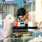 毒舌家庭