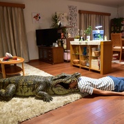每天回家都会看到老婆在装死 家に帰ると妻が必ず死んだふりをしています。