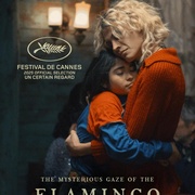 弗拉明戈的神秘眼神 La misteriosa mirada del flamenco