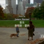 小狗波图 Balto