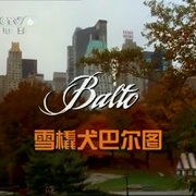小狗波图 Balto