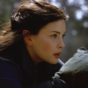 指环王1：魔戒再现 The Lord of the Rings: The Fellowship of the Ring