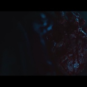今夜林中无人入睡2 W lesie dzis nie zasnie nikt 2