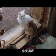 我和喵喵的冒险旅行 Rroû