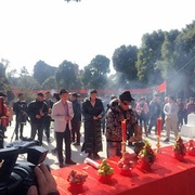 请把生命交给我