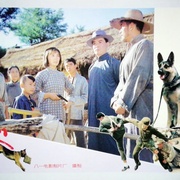 犬王