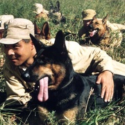 犬王