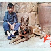 犬王