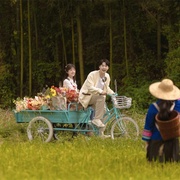你的岛屿已抵达