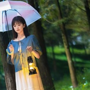 你的岛屿已抵达