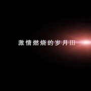 激情燃烧的岁月3