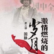 激情燃烧的岁月3