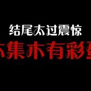龟蜜日记