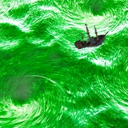 喵星少年漂流记