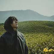 金山上的树叶