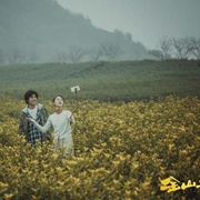 金山上的树叶