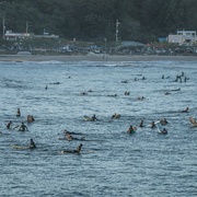 竹岛冲浪日记 죽도 서핑 다이어리