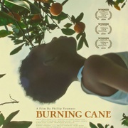 燃烧的甘蔗 Burning Cane