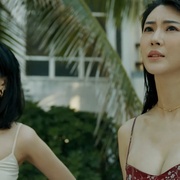 点击查看图片 食人鱼