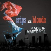 美国制造 Crips and Bloods: Made in America