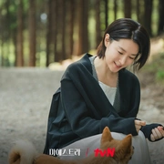 大指挥家: 弦上的真相 마에스트라