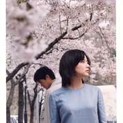 春逝 봄날은 간다