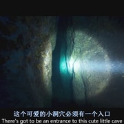 潜水 The Dive