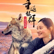 重返狼群——10周年纪念版
