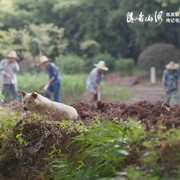 隐者山河