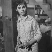 安妮少女日记 The Diary of Anne Frank