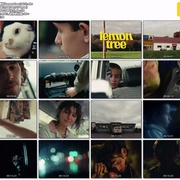 柠檬树 Lemon Tree