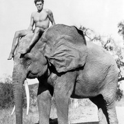 人猿泰山 Tarzan the Ape Man