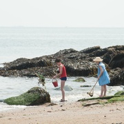 小淘气尼古拉的假期 Les vacances du petit Nicolas