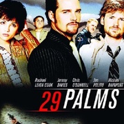 29片棕榈叶 29 Palms