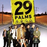 29片棕榈叶 29 Palms