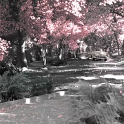 欢乐谷 Pleasantville